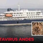 Hantavirus en Afrique : les frontières aériennes protègent-elles encore réellement le continent ?