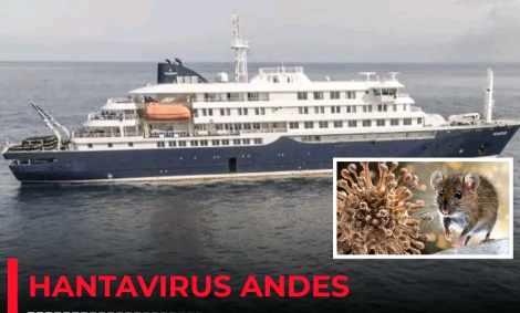 Hantavirus en Afrique : les frontières aériennes protègent-elles encore réellement le continent ?
