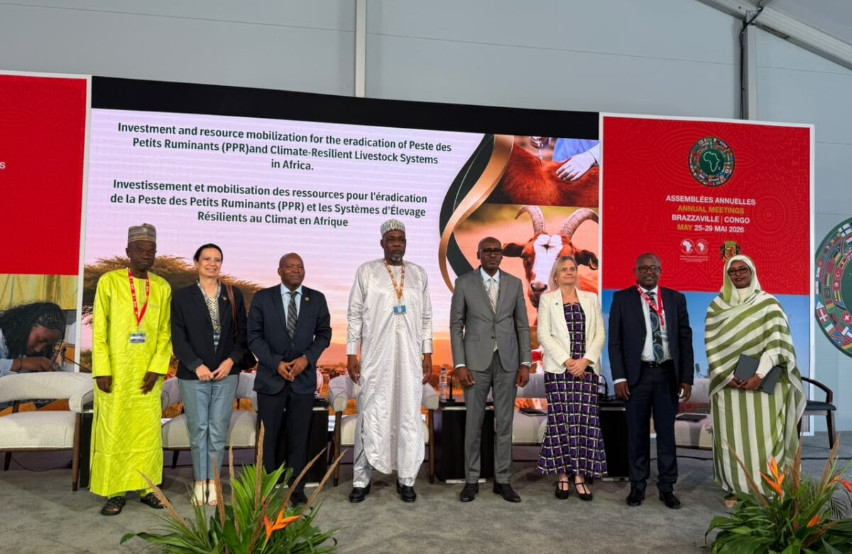 À BRAZZAVILLE, L’AFRIQUE PRESSE LES BAILLEURS DE FINANCER L’ÉRADICATION DE LA PESTE DES PETITS RUMINANTS D’ICI 2030