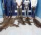 CONGO : QUATRE TRAFIQUANTS PRÉSUMÉS DE PEAUX ET DENTS DE PANTHÈRE ARRÊTÉS À EWO