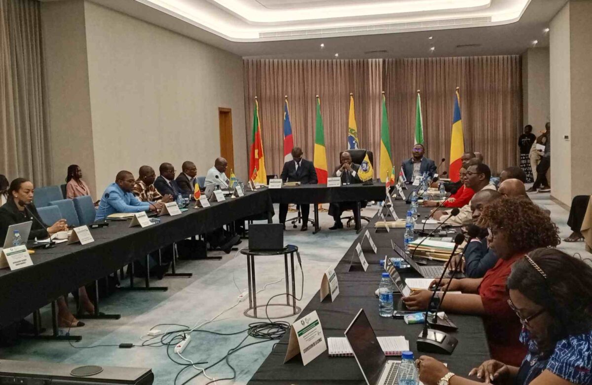 CEMAC : À Brazzaville, les États membres valident des réformes clés pour moderniser la statistique en Afrique centrale