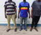 TROIS PRESUMES DELINQUANTS FAUNIQUES INTERPELLES A KELLE ET REJOIGNENT LEURS COMPLICES A EWO