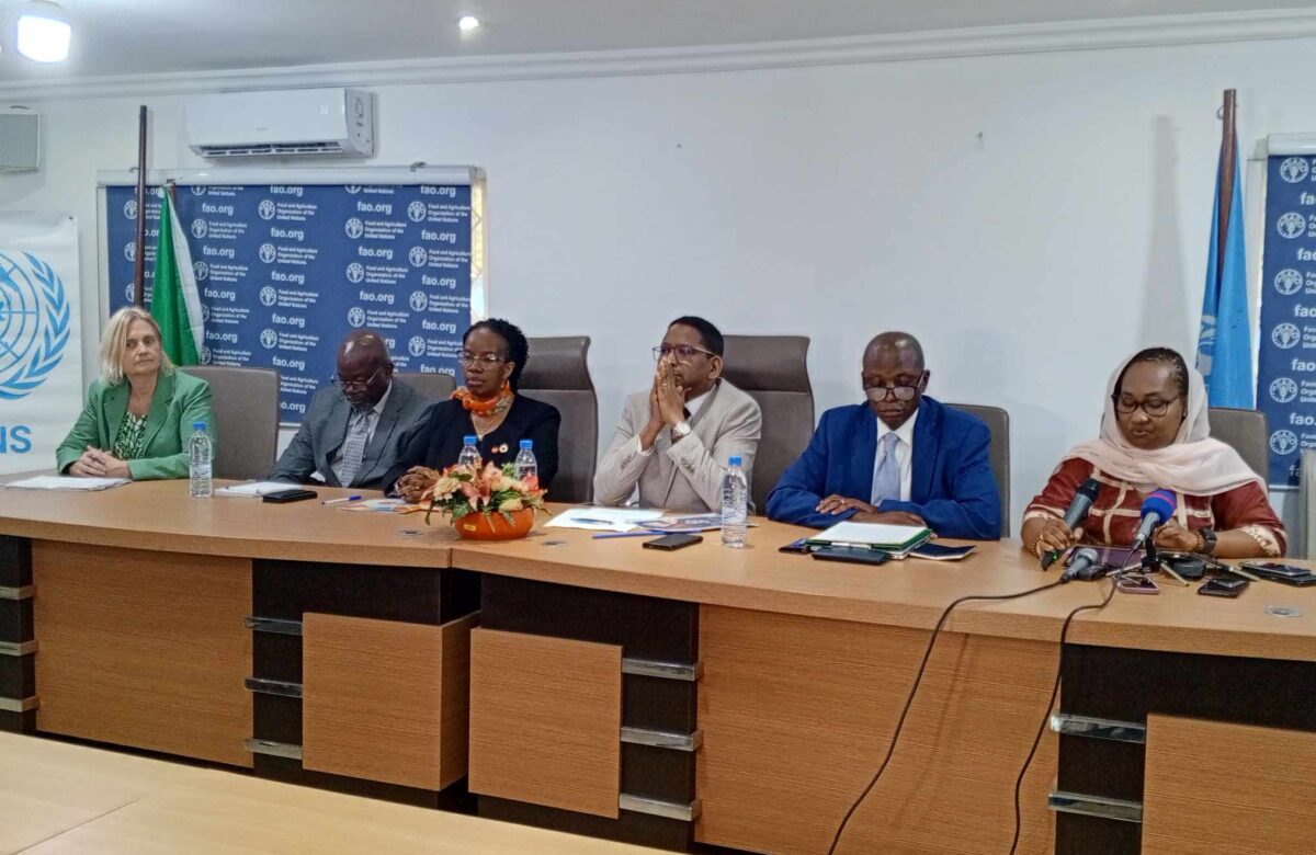 CONGO : MALGRÉ LA BAISSE DES FINANCEMENTS INTERNATIONAUX, LES NATIONS UNIES REVENDIQUENT DES RÉSULTATS SOLIDES EN 2025