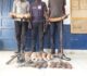 TROIS GRANDS BRACONNIERS ÉCOPENT DES LOURDES PEINES D’EMPRISONNEMENT FERME À DJAMBALA
