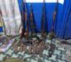 LÉSIO-LUNA : UN IMPORTANT STOCK D’ARMES ET 469 MUNITIONS SAISI CHEZ UN PRÉSUMÉ CHEF DE BRACONNIERS EN FUITE