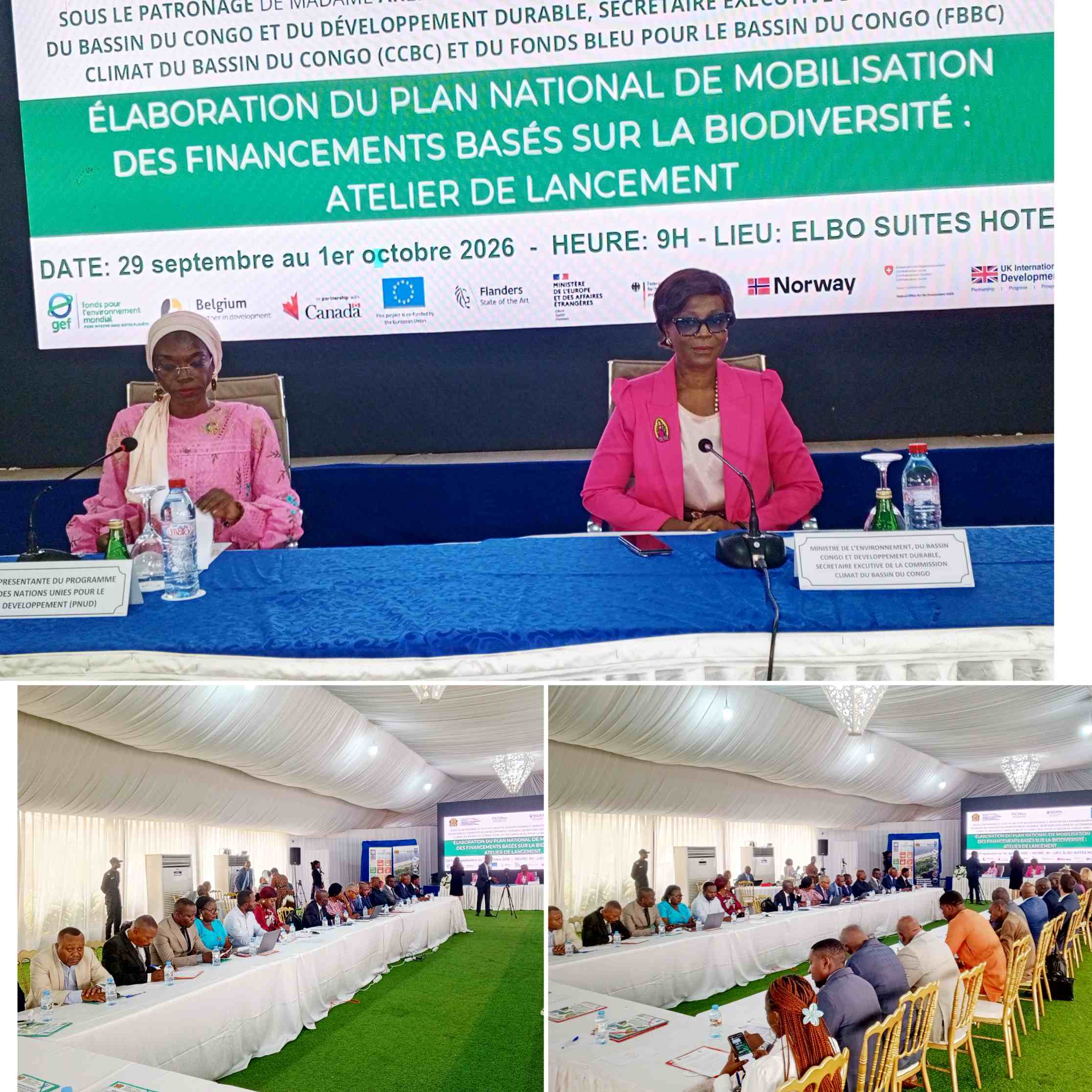 BIOFIN-CONGO : LE PAYS CHERCHE DE NOUVEAUX FINANCEMENTS POUR PRÉSERVER SA BIODIVERSITÉ