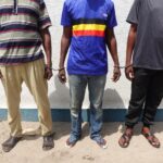 COMPARUTION DE SEPT PRESUMES TRAFIQUANTS DES PEAUX DE PANTHERE A EWO