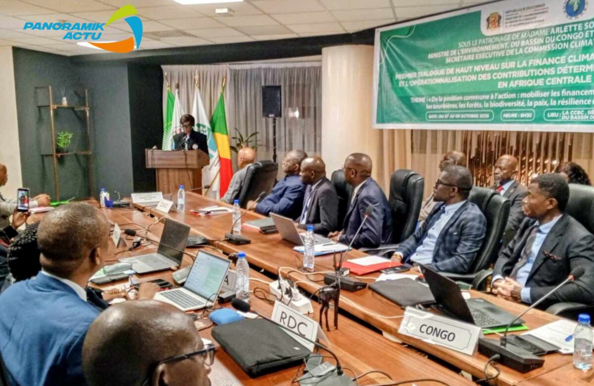 FINANCE CLIMATIQUE : 3,65 MILLIARDS DE DOLLARS, L’AFRIQUE CENTRALE VEUT PASSER DES PROMESSES AUX PROJETS