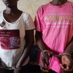 UN COUPLE INTERPELLE POUR DETENTION ET TRAFIC D’UN BEBE MANDRILL VIVANT A NKAYI