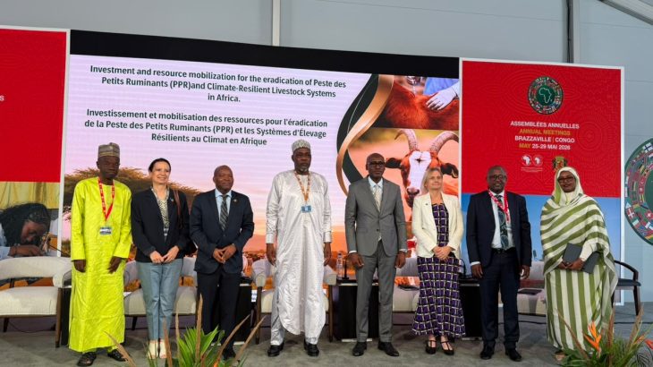 À BRAZZAVILLE, L’AFRIQUE PRESSE LES BAILLEURS DE FINANCER L’ÉRADICATION DE LA PESTE DES PETITS RUMINANTS D’ICI 2030
